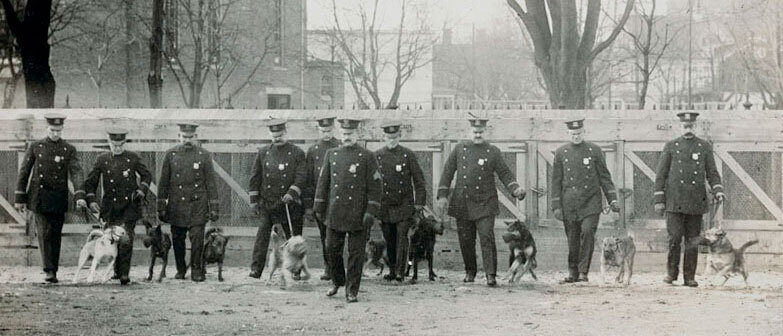 L’invenzione dei cani poliziotto