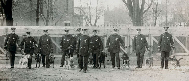 Nel 1906 la rivista romana Il Cane pubblicava una raccolta di aneddoti sui cani poliziotto della città belga di Gand, dove dal 1898 si era costituita la prima unità cinofila di polizia del mondo.